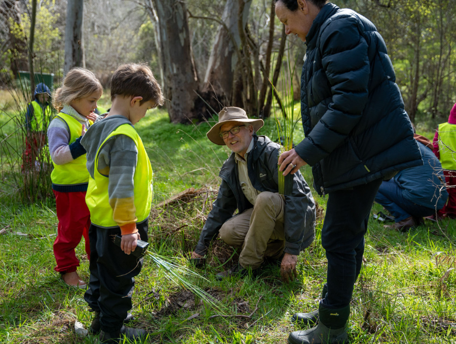 Two young children and two adults in the bush, planting new growth.